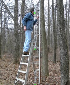 /ARSUserFiles/50820500/Entomology/trap-height scale-A.jpg